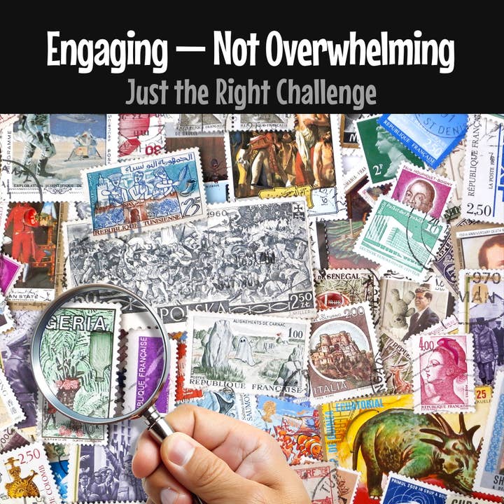 Puzzle Books Co - Wholesale Coloring & Activity Book - Adult - Lost And Found: Hidden Object Book for Adults5