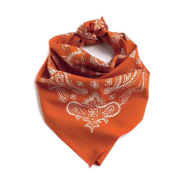 Abracadana - Wholesale Bandana - Unisex - Marmalade Sketched Paisley Bandana 2