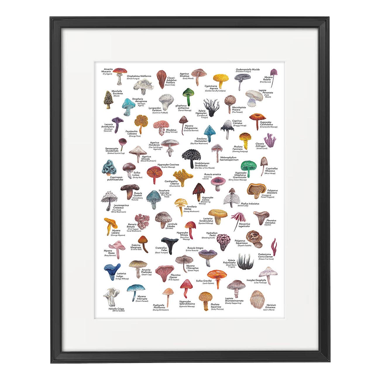 Lucy Locks Art - Wholesale Art Print - Mushroom A3 Print3