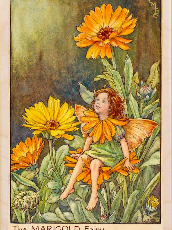 Marigold Fairy - Eco-friendly cards & magnets for wholesale by THE WOODEN POSTCARD COMPANY