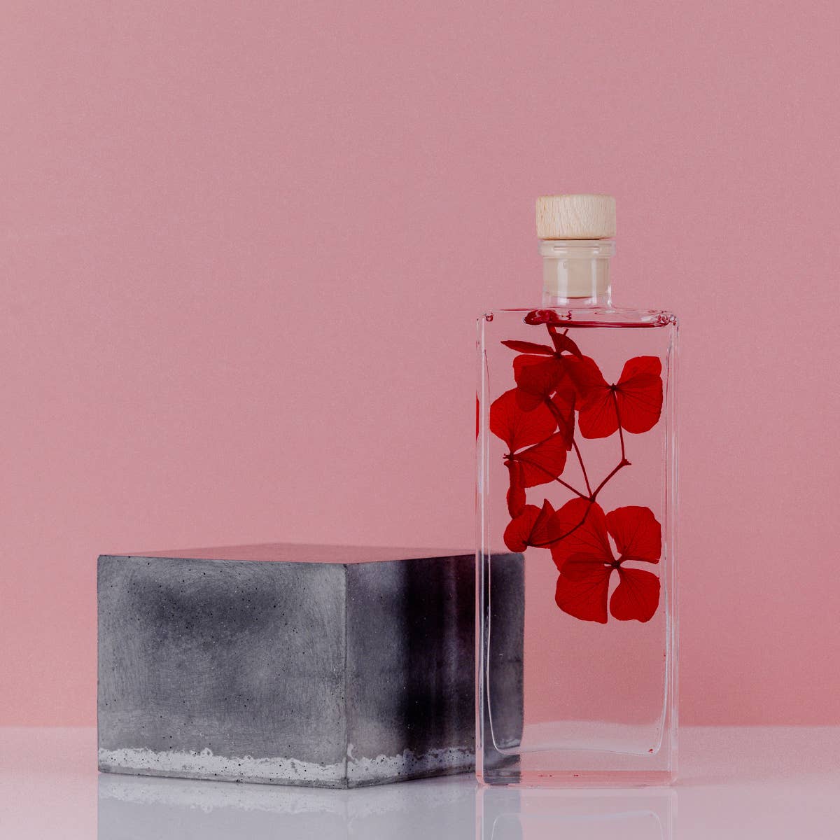 Theophile Berthon - Vente Plante - L'Herbarium Hortensia rouge Passion éternel9