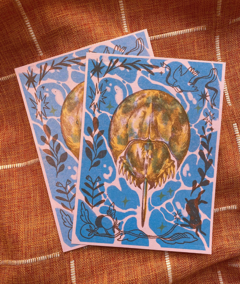 ALTARGOKART - Wholesale Art Print - Horseshoe Crab Riso Print0