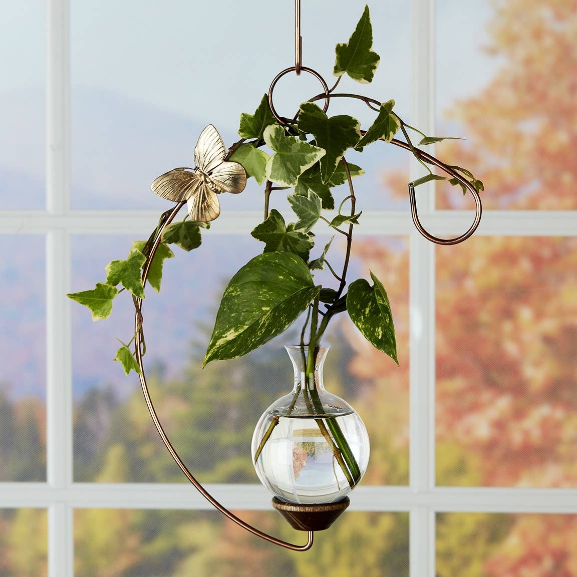 The Brass Butterfly - Wholesale Vase -  Crescent Hanging Plant Propagation Rooting Vase3