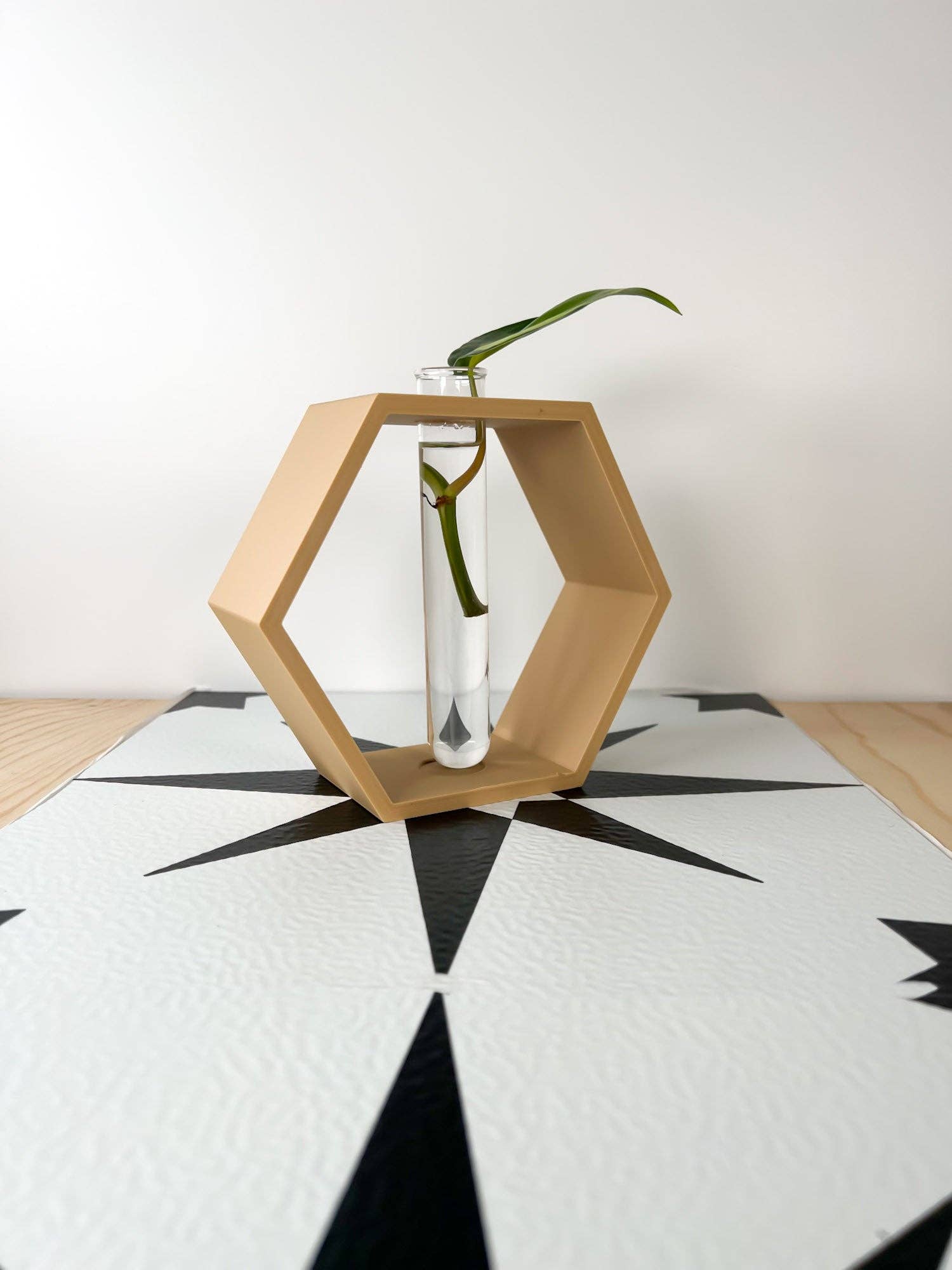 Rosebud Homegoods - Wholesale Plant Pot Stand - Hexagon Propagation Station11