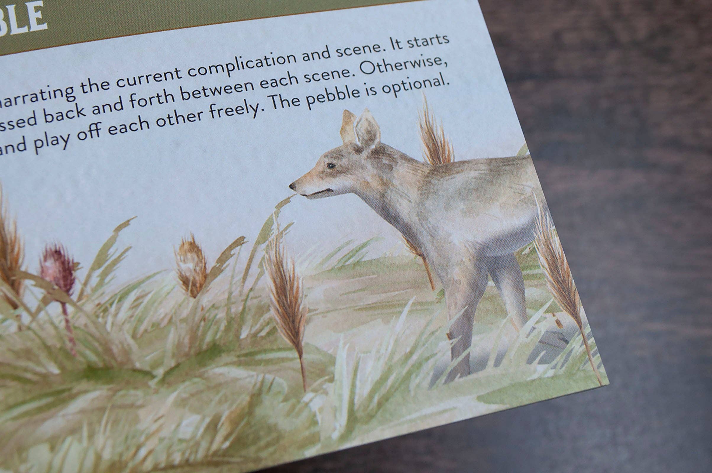 Pandion Games - Wholesale Board Game - Badger + Coyote7