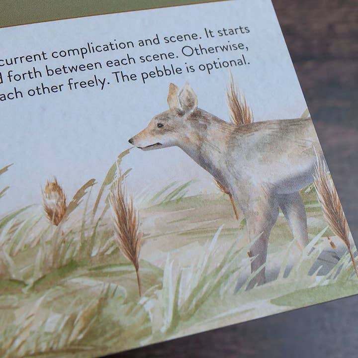 Pandion Games - Wholesale Board Game - Badger + Coyote7