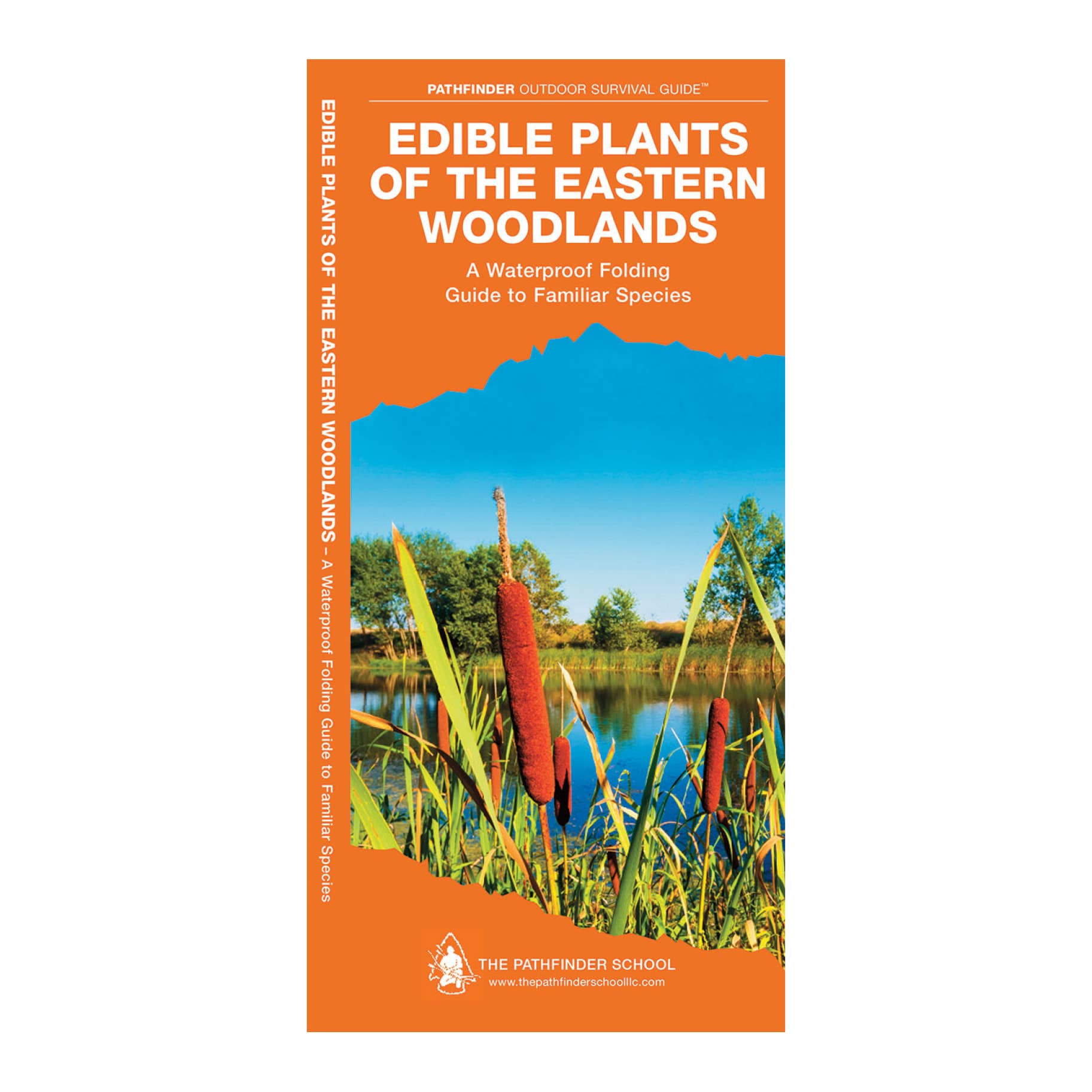 Edible Plants of the Eastern Woodlands A Waterproof Folding Guide to Familiar Species 