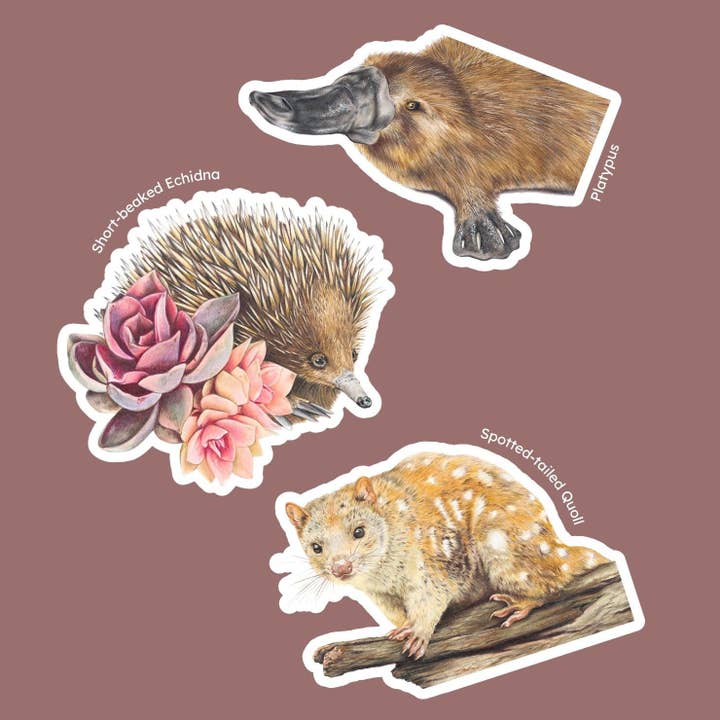 Fauna selvatica 1 - Set di 3 adesivi per la vendita all'ingrosso da parte di Hayley Wilson