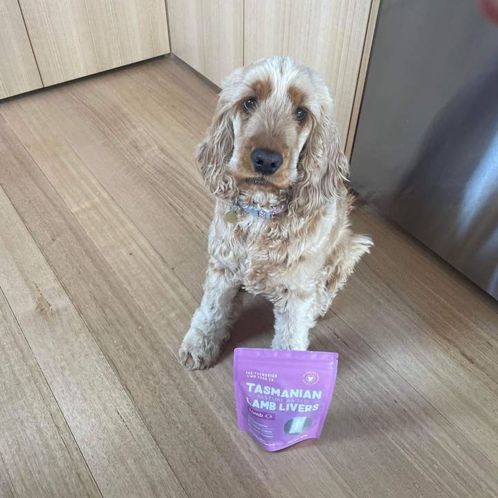 The Tasmanian Dog Food Co. - Wholesale Pet treats – Dog - Tasmanian Pasture-Raised Liver Treats4