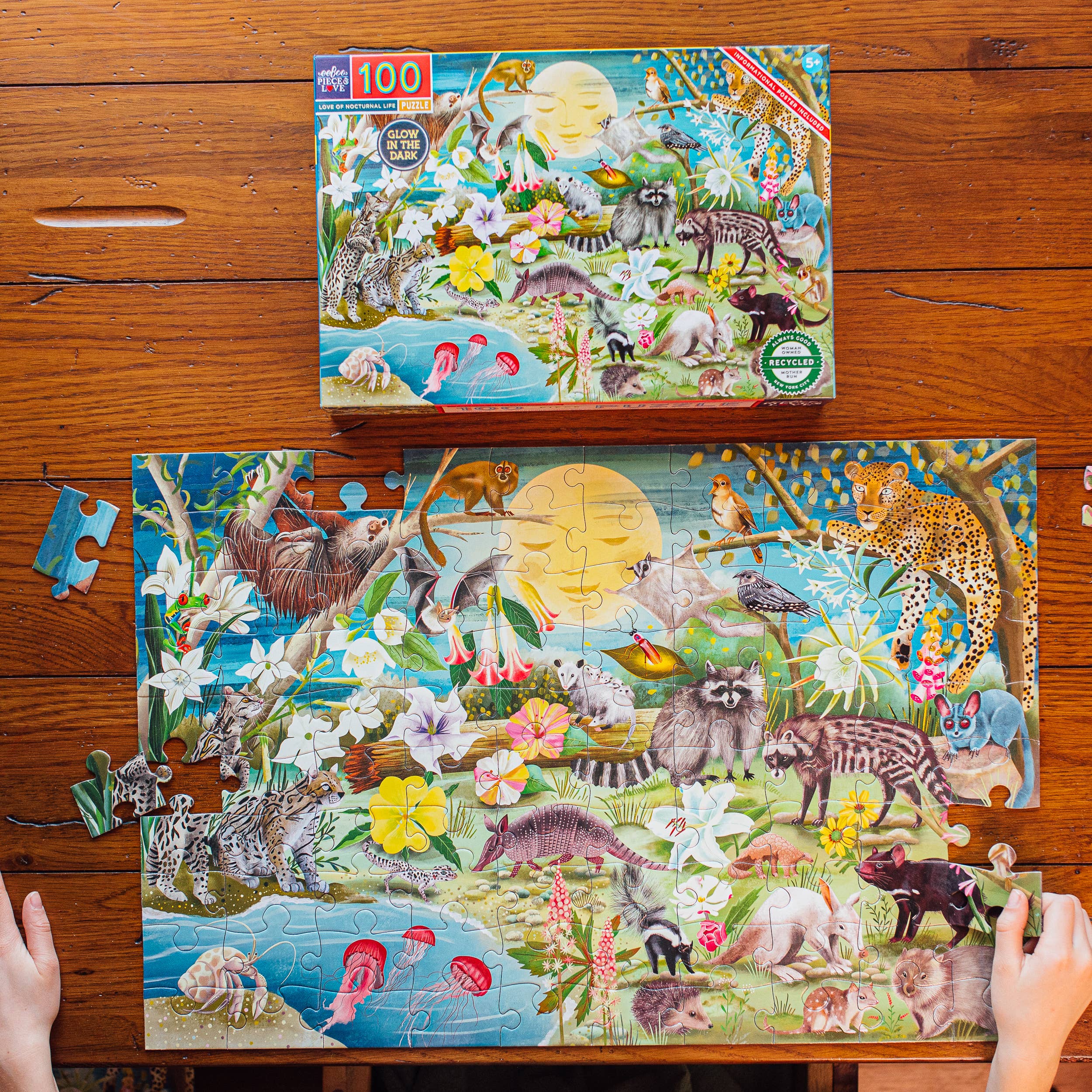 eeBoo - Vente Puzzle – adulte - Puzzle de 100 pièces L'amour de la vie nocturne4