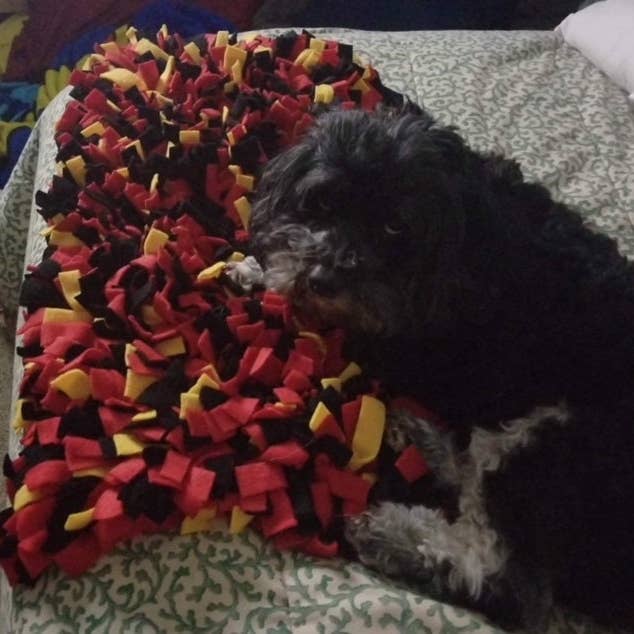 Tapis à priser enroulable facile à ranger bleu marine/bleu bébé/blanc/nez d'animal de compagnie Choisissez votre taille Choisissez votre taille pour la vente par Life’s A Treasure Mat