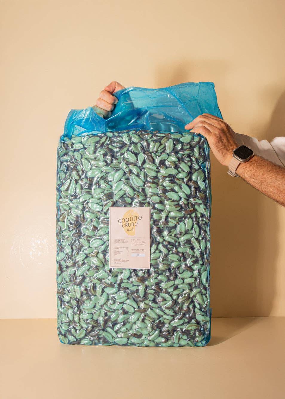 AZADA - Wholesale Nuts - Nueces de Brasil (Coquito)2