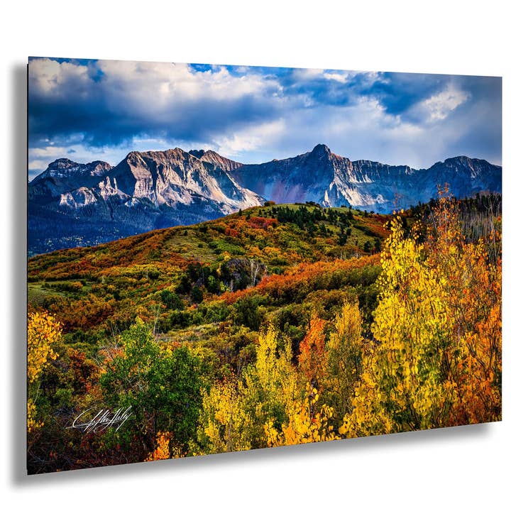 Aspen Trees Canvas | Fall Colors | Mountain View for wholesale by Clifton Haley Photography