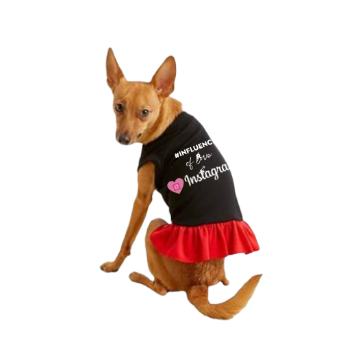 Bark Fifth Avenue - Vendita all'ingrosso Camicia - Cani - #INFLUENCER di amore e Instagram5