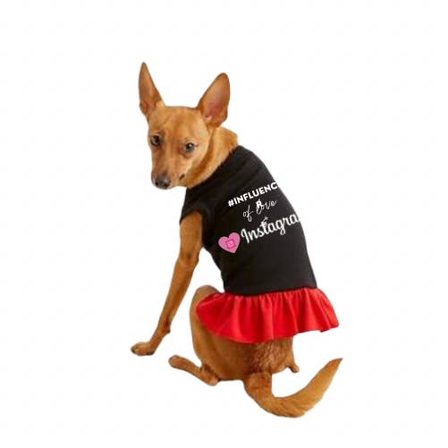 Bark Fifth Avenue - Vente Chemise – chien - #INFLUENCER de l'amour et Instagram5