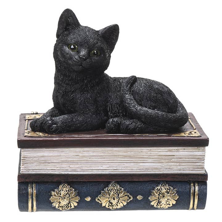 Black Cat on Book Box for wholesale by Pacific Trading