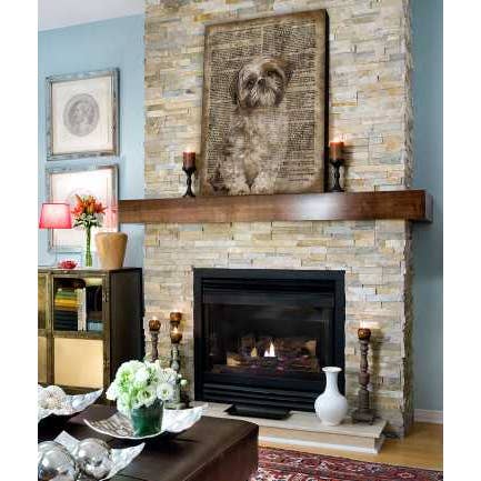 The Shizzle Print Co – wholesale Art print – Shit-tzu Vintage Paper Wood Wall Sign 16 x 12"