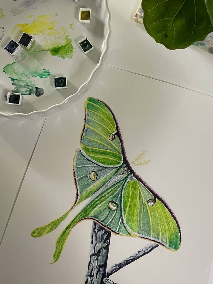 Luna Mot - Giclée Print voor wholesale door Bird Art by KB