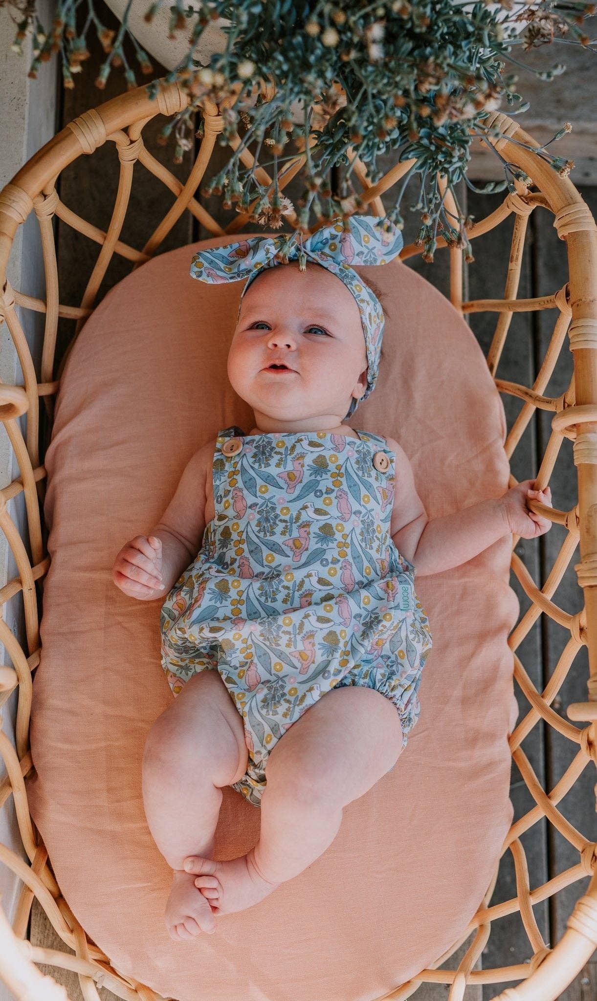 Acorn Kids - Wholesale Bodysuit (non-footed) – Baby - Australian Dawn Romper1