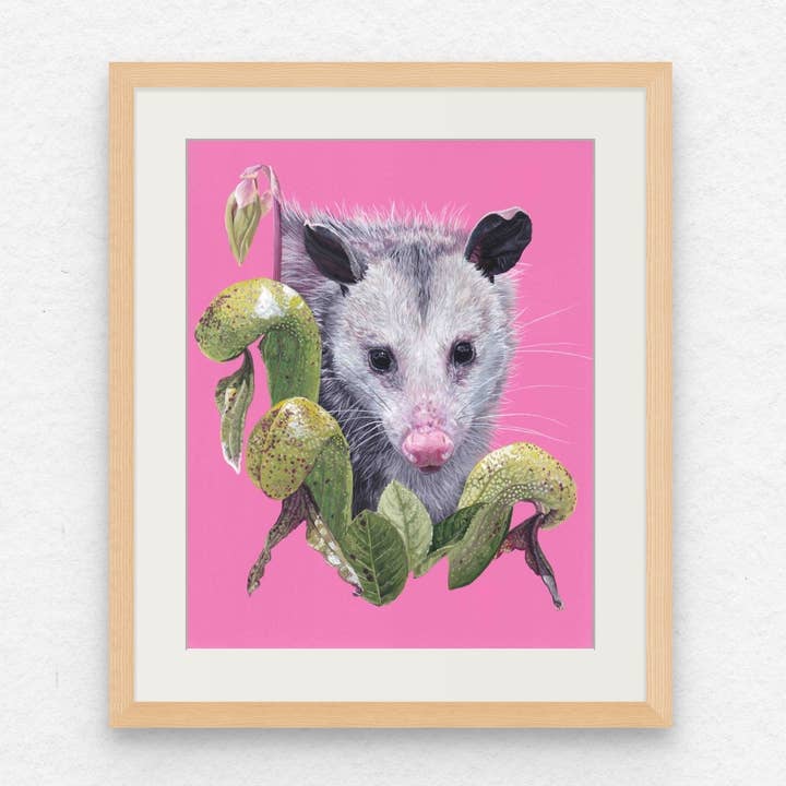 ”Opossum & Cobra Plant” Skriv ut för wholesale av Bekah Zeimetz Art