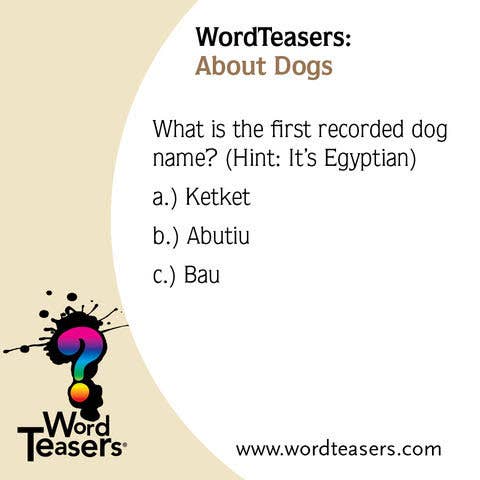 WordTeasers - Wholesale Card Game - About Dogs1