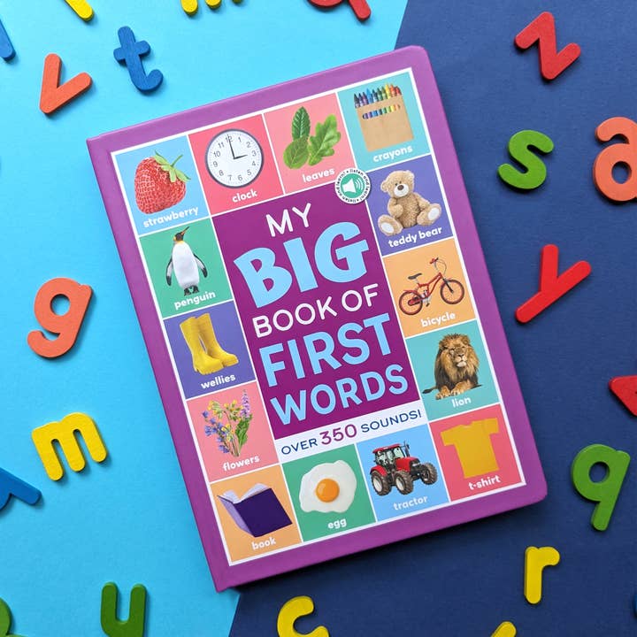 Robert Frederick Ltd - Wholesale Education - My Big Book of First Words – Children’s Educational Sound Book3