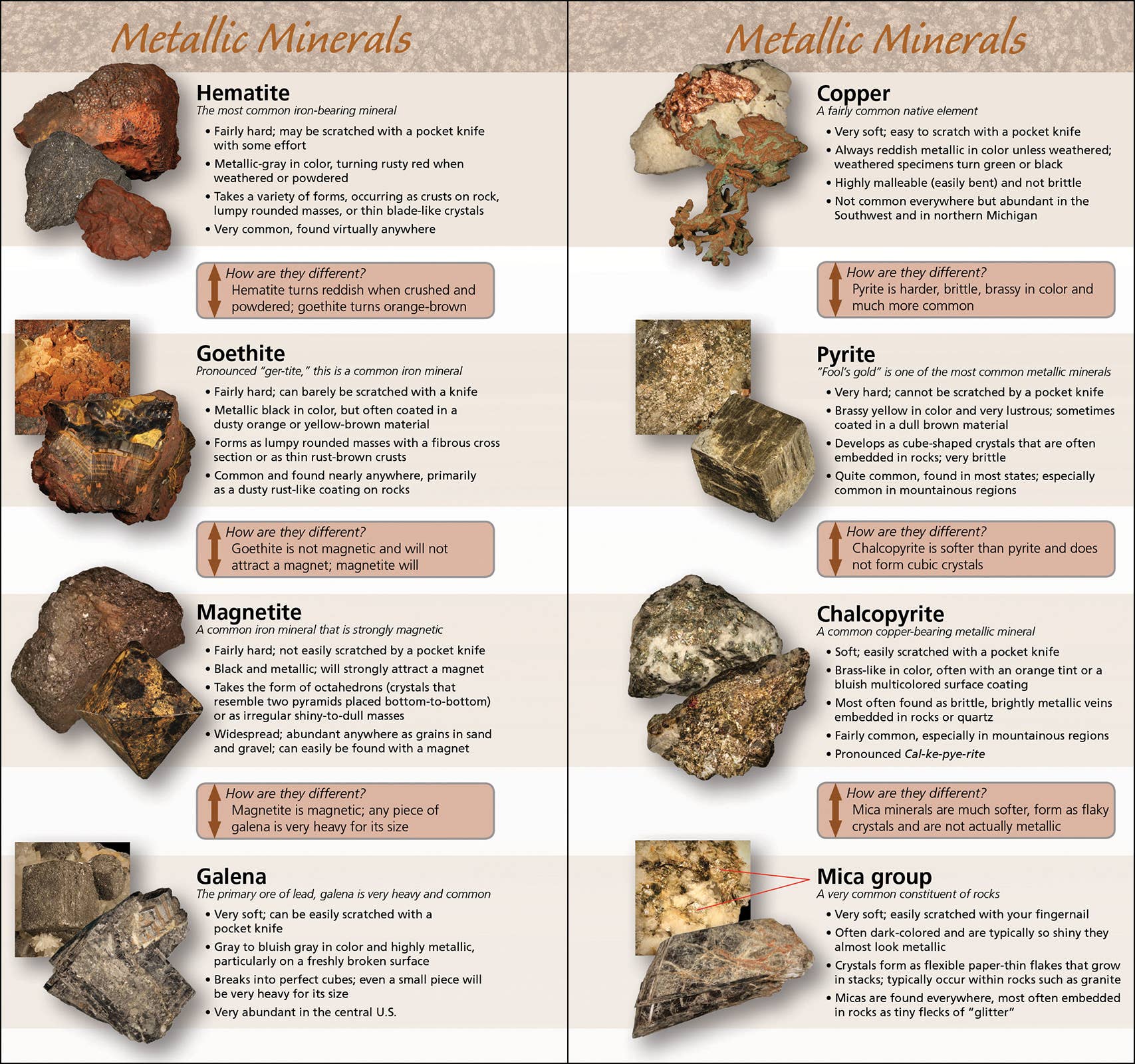 AdventureKEEN - Wholesale Nature & Outdoors - Rocks & Minerals of the U.S. Quick Guide3