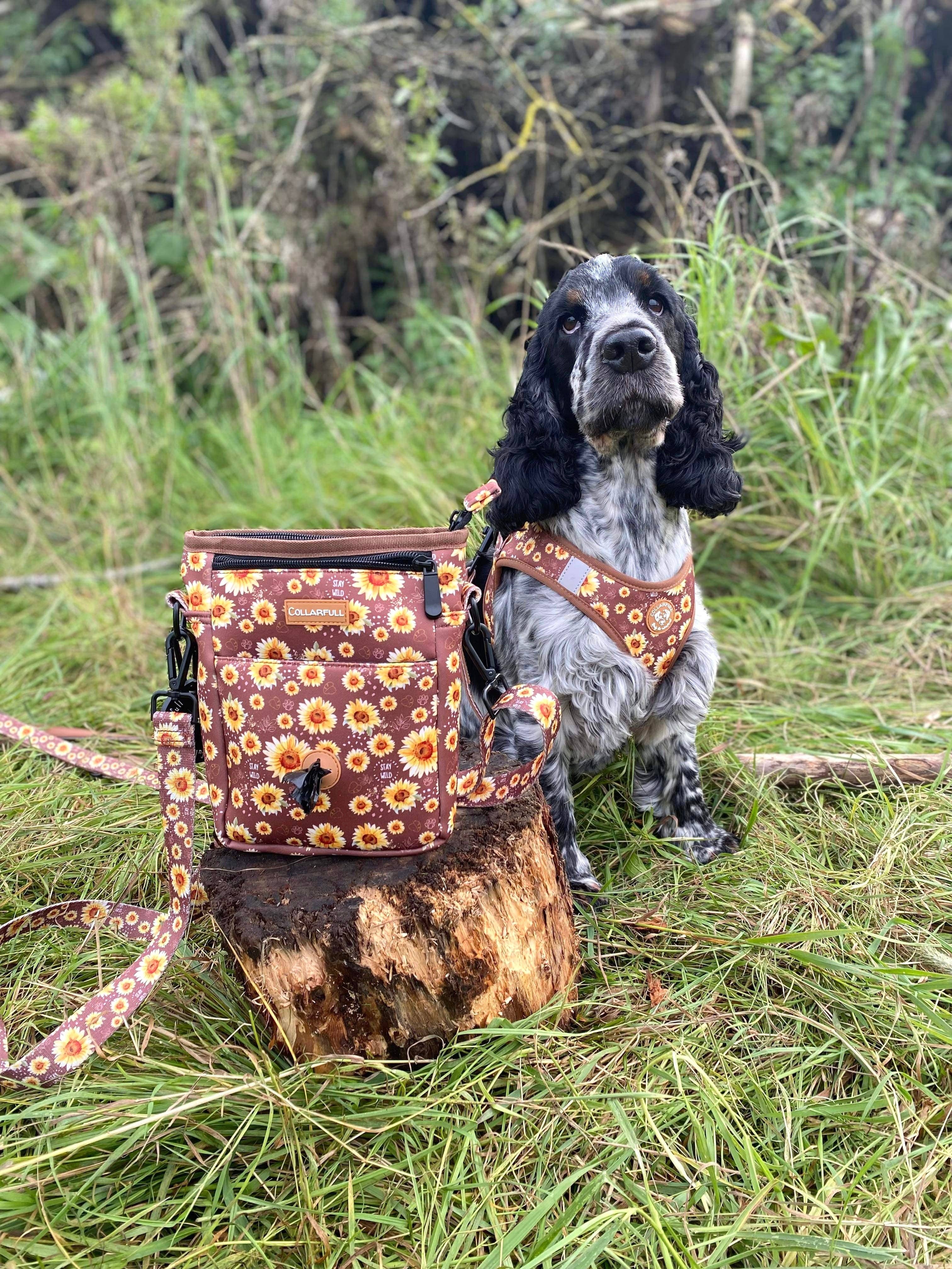 Collarfull - Wholesale Pet Harness - Dog - Tiny Trails step-in dog harness - Sunflowers on my mind6