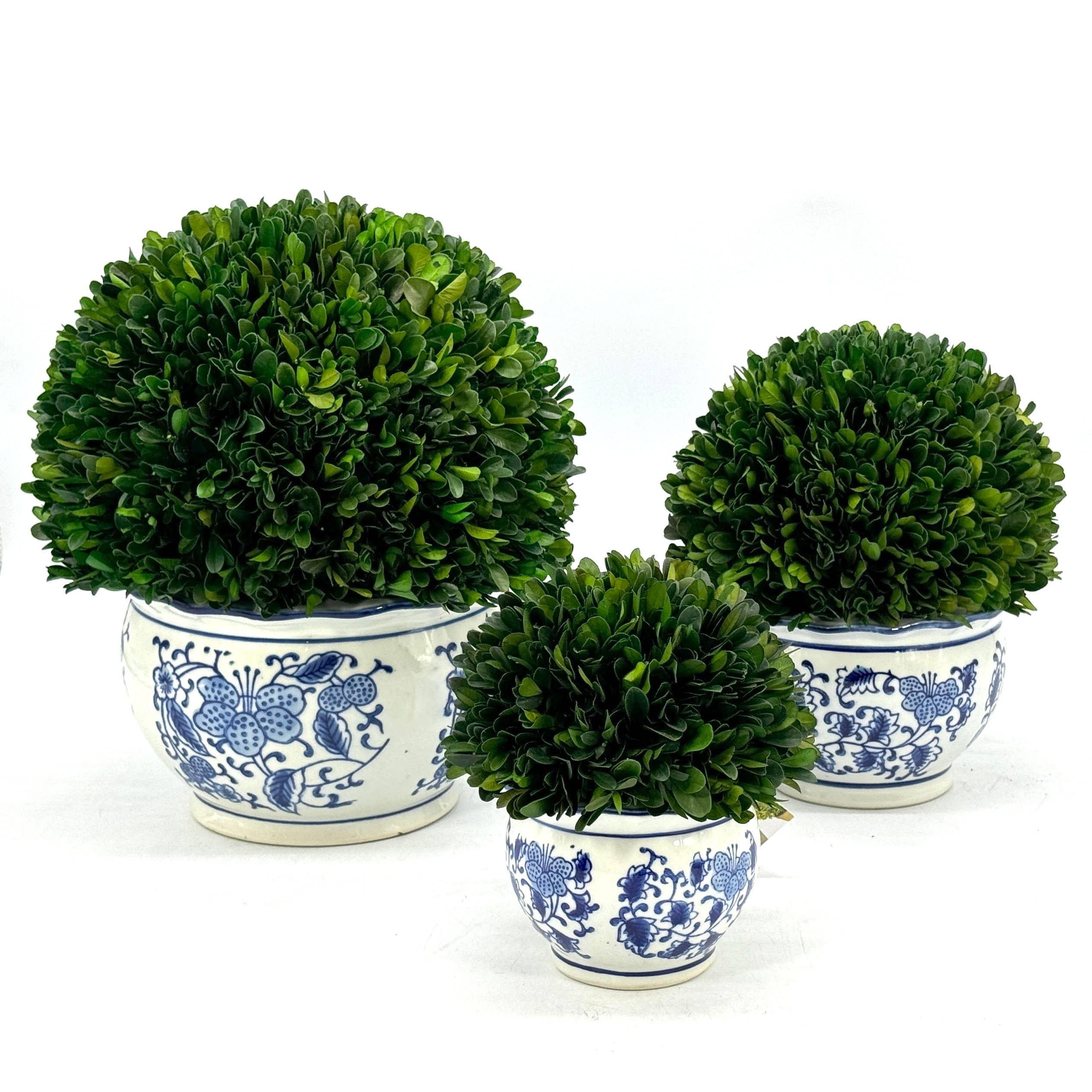 Galt International Company - Wholesale Kunstplant - Buxusbol-topiary in ronde blauw-witte keramische pot10