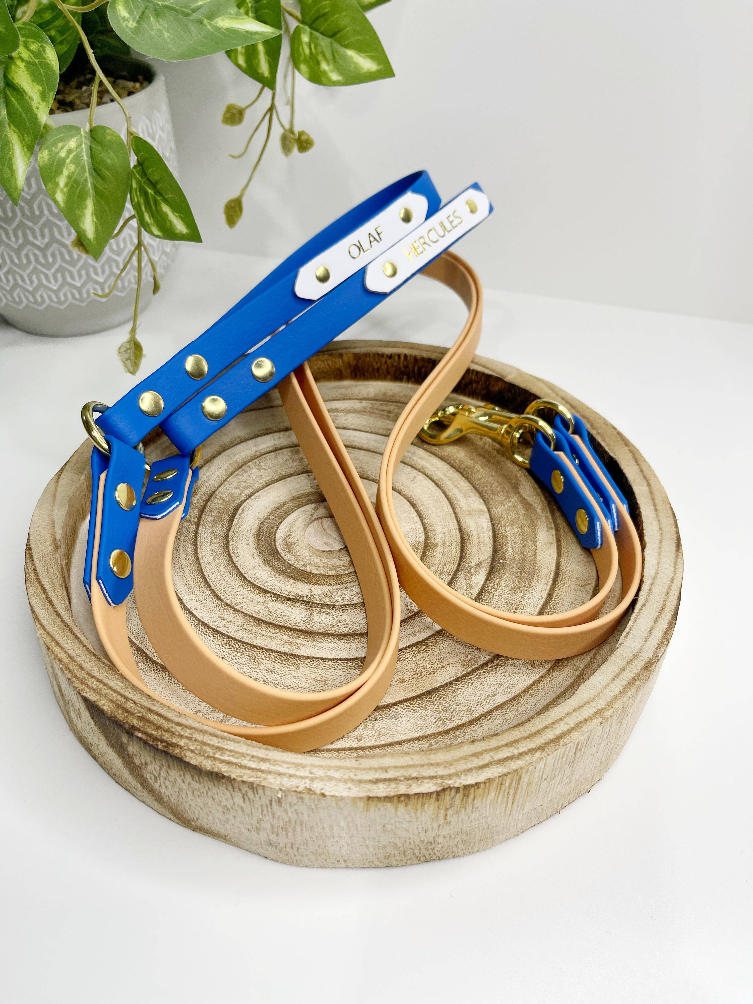 My Pawchella - Wholesale Hondenriem - Hond - *Ontwerp je eigen* biothane / gekleurde nylon hondenriem28