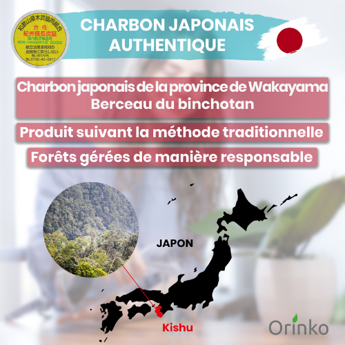 Orinko - Wholesale Water Filter - Japanese Binchotan Activated Charcoal from Wakayama (Size M-1kg)6
