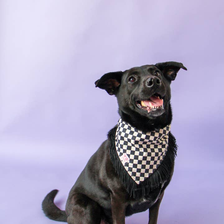Velvet Outlaw - Wholesale Pet Bandana - Dog - Black & White Checker with Black Fringe Dog Bandana