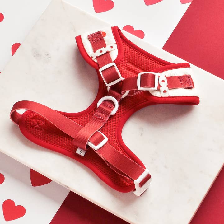 Cocopup London - Wholesale Pet harness – Dog - Hugs & Knitted Adjustable Neck Harness2