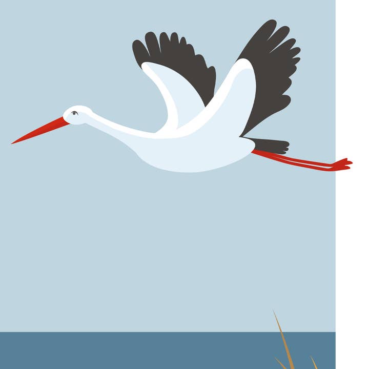 Burones - Wholesale Art Print - Artprint den Haag Ooievaar4