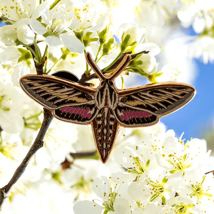 White-lined Sphinx Moth Pin for wholesale by The Roving House