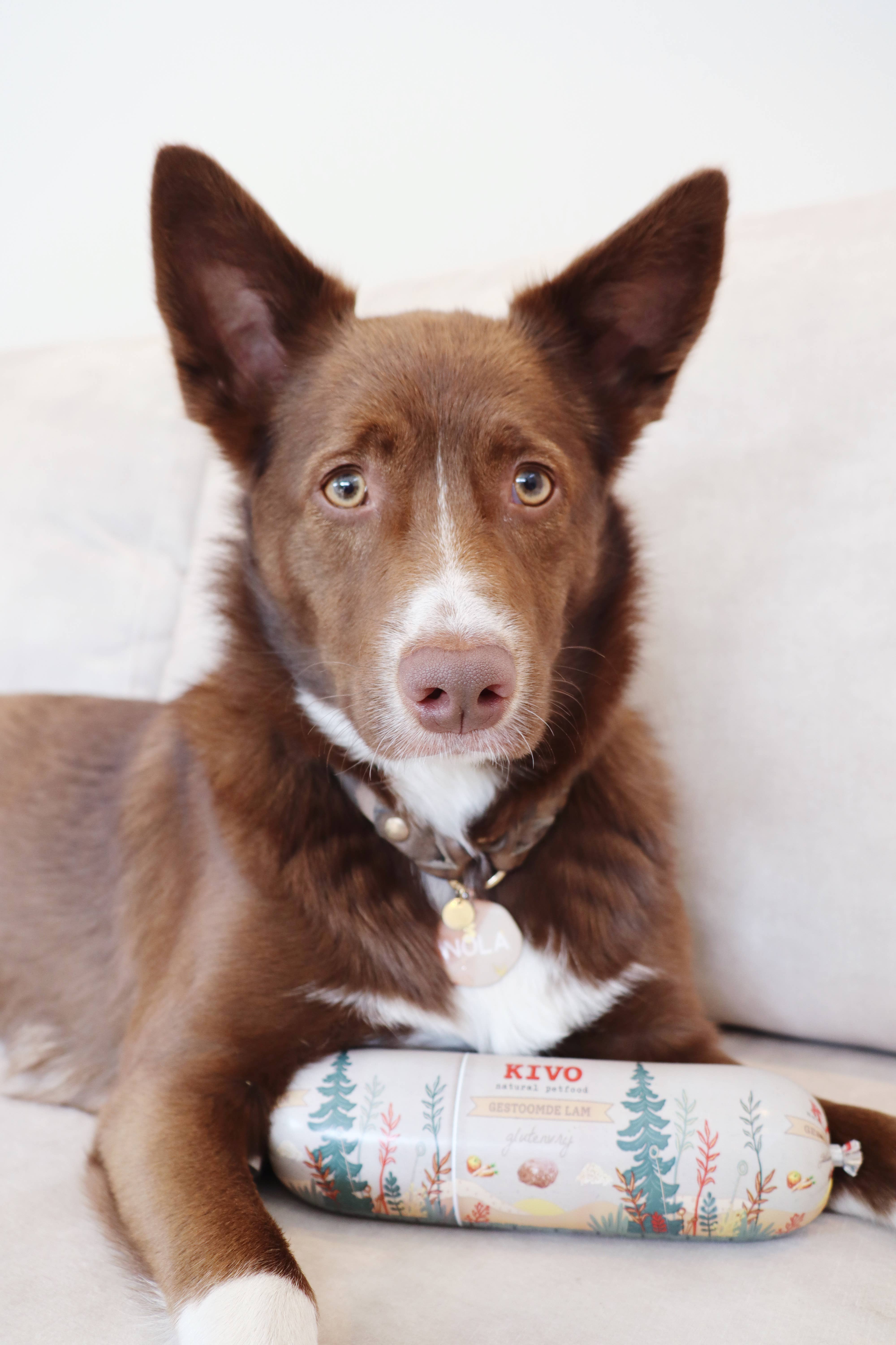 Kivo Petfood - Wholesale Pet Food - Dog - Steamed Meat - Lamb - Shelf-stable Sausage - Gluten Free1