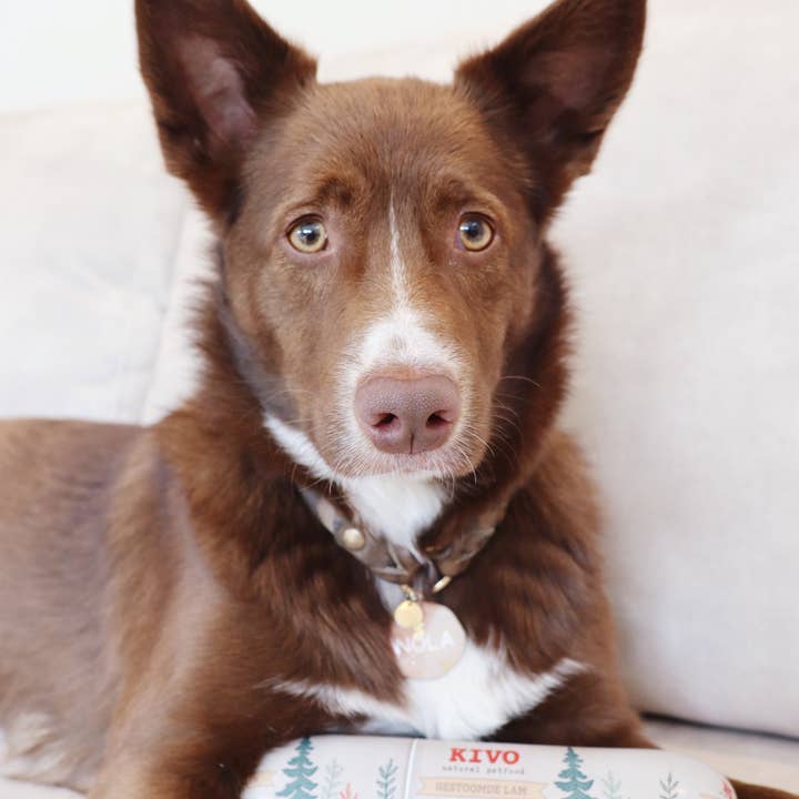 Kivo Petfood – Großhandel Tiernahrung – Hund – Gedünstetes Fleisch - Lammfleisch - Ungekühlt haltbar - Glutenfrei1