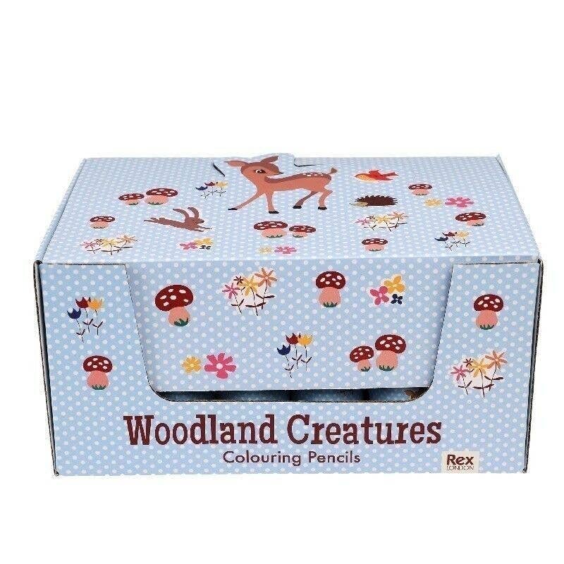 Rex B2B - UK – wholesale Coloured pencil – Tube of Colouring Pencils - Woodland Creatures4
