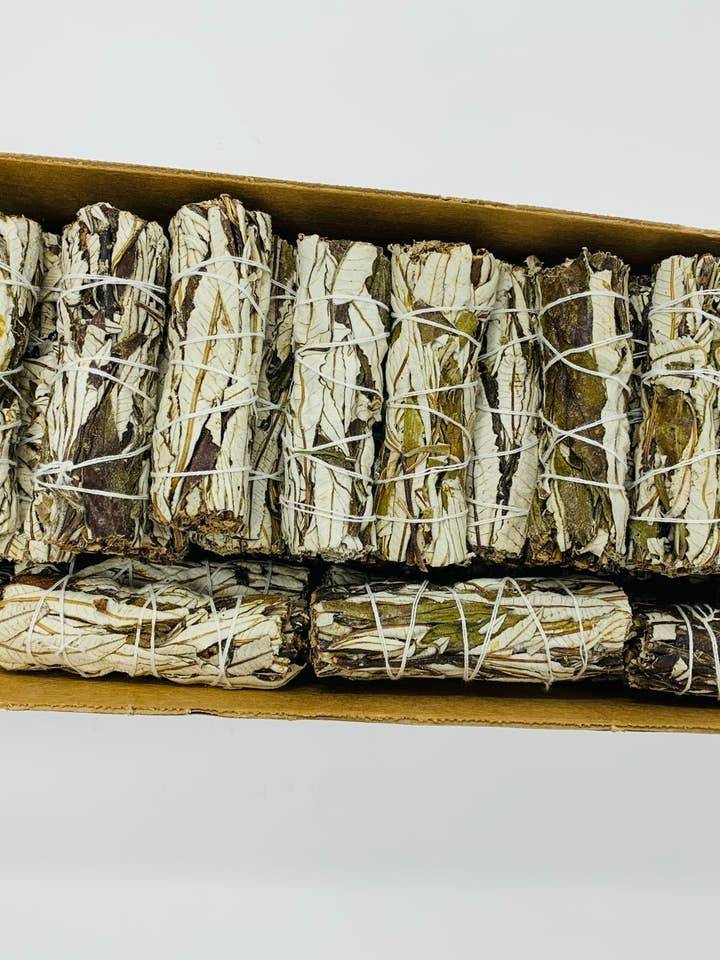 Yerba Santa (100+) for wholesale by Bholi Sage Plus