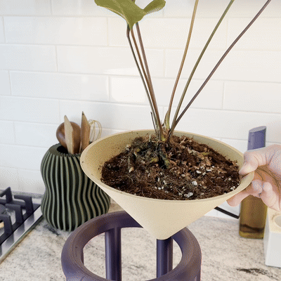 Rosebud Homegoods – wholesale Plant pot – Conduit Plant Stand with Planter & Catch6