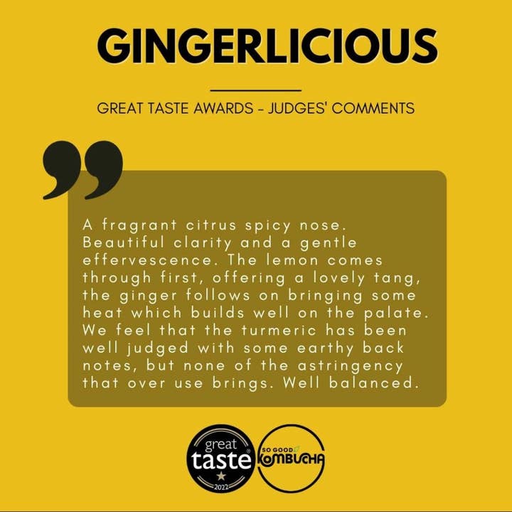 So Good Kombucha – Kombuchá por atacado – So Good Kombucha - Gingerlicious BBE julho 20257