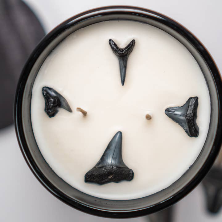 BODA pour la vente par Tooth + Flame Modern Living Co.