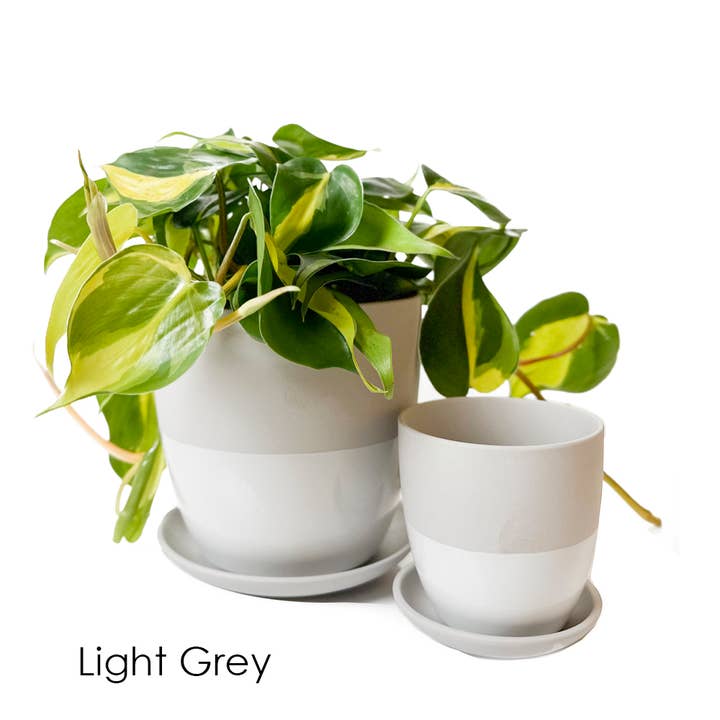 Chive - Wholesale Plant Pot - Dyad Ceramic Planter Modern Decorative Planters with Saucer8