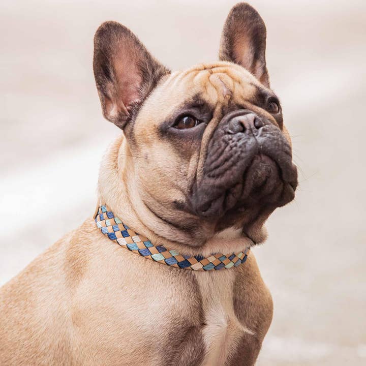 Blueberry Pet - Wholesale Pet Collar - Dog - 2 Colors, Braided Full Grain Leather Dog Collar2