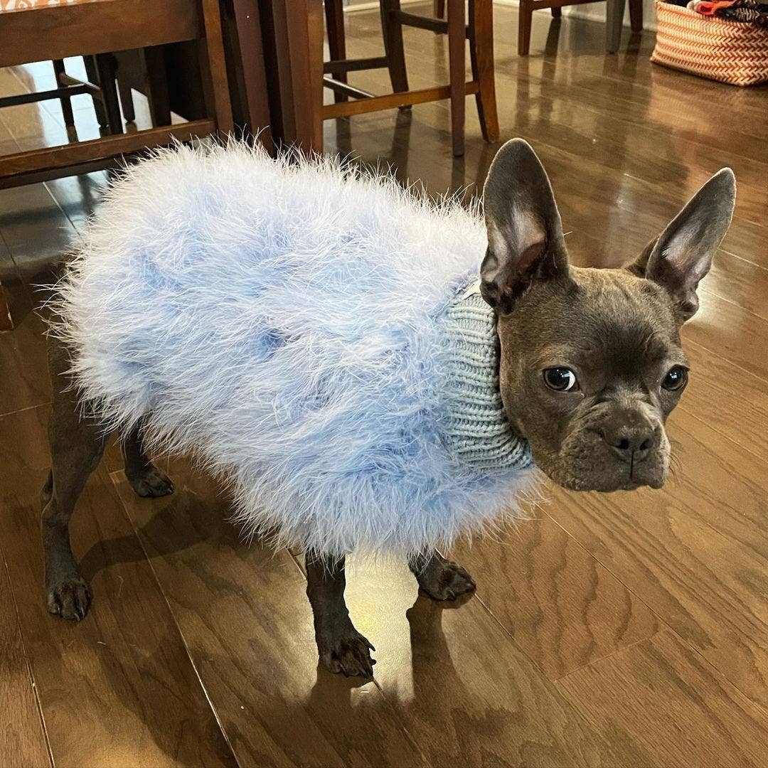 Furr-Baby Gifts - Wholesale Pet Sweater - Dog - Haute Couture Feathered Luxury Pet Sweater10