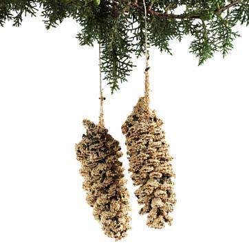 Mr Bird - Wholesale Ornament - Pine Cone Pair2
