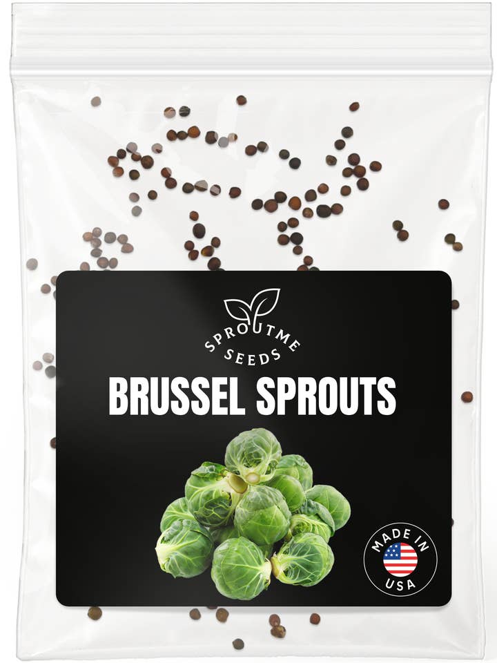 Brussels Sprouts Seeds 200+ Seeds – Non-GMO Heirloom Cool-Season Crop for wholesale by SproutMe Seeds