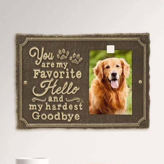 Plaque murale avec photo My Favorite Hello Pet de Whitehall (7 modèles disponibles) pour la vente par Playful Tail