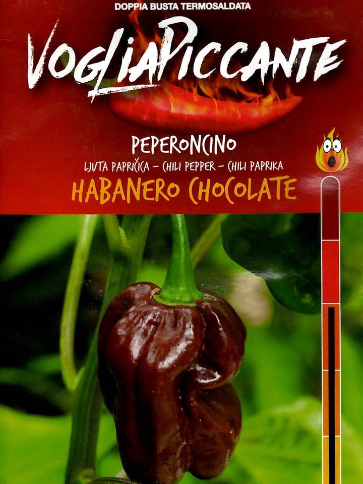 Habanero Chocolate Chili Pepper for wholesale by Sementi & Barbatelle