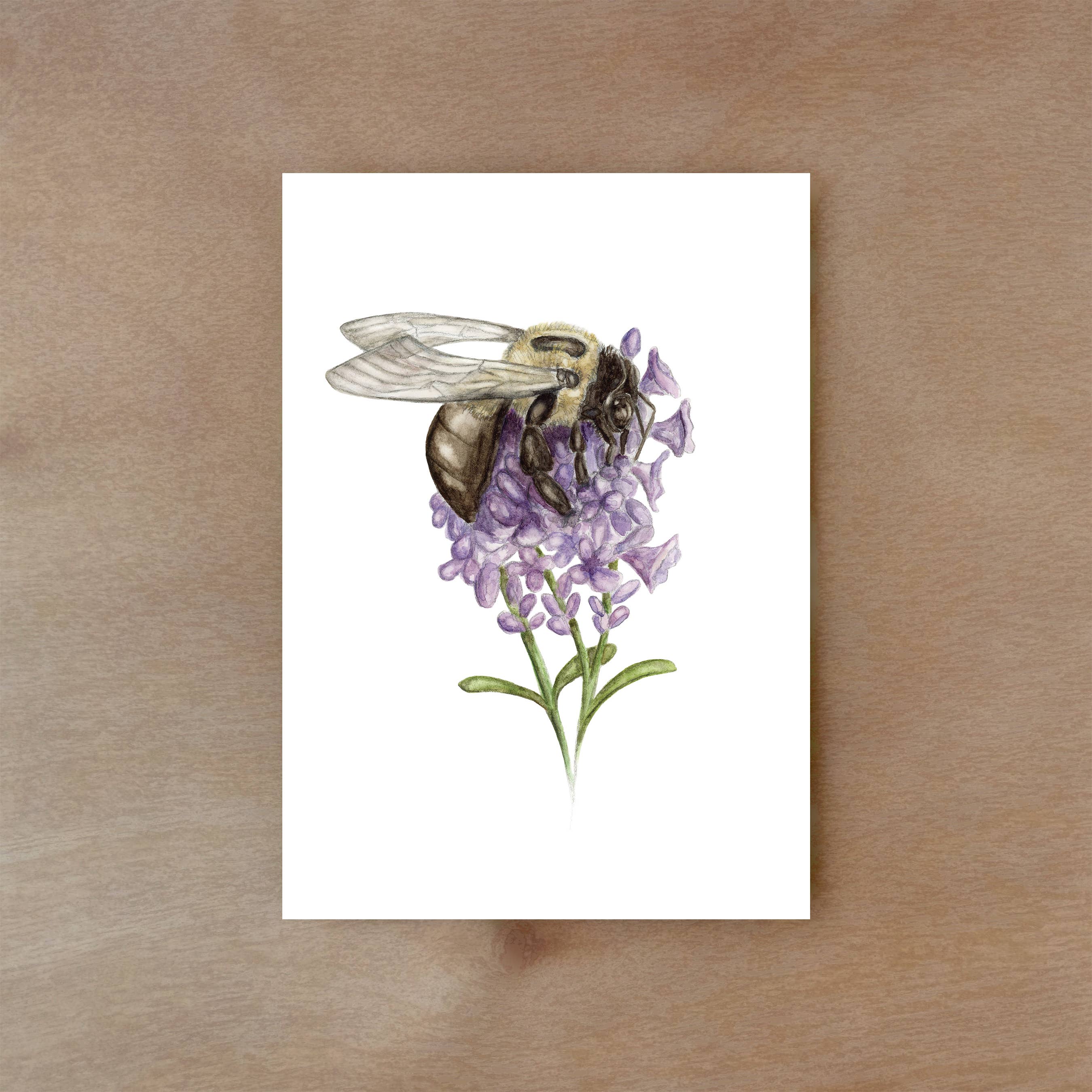 Rachael Bee Artwork - Wholesale Everyday Greeting Card - Carpenter Bee Greeting Card1